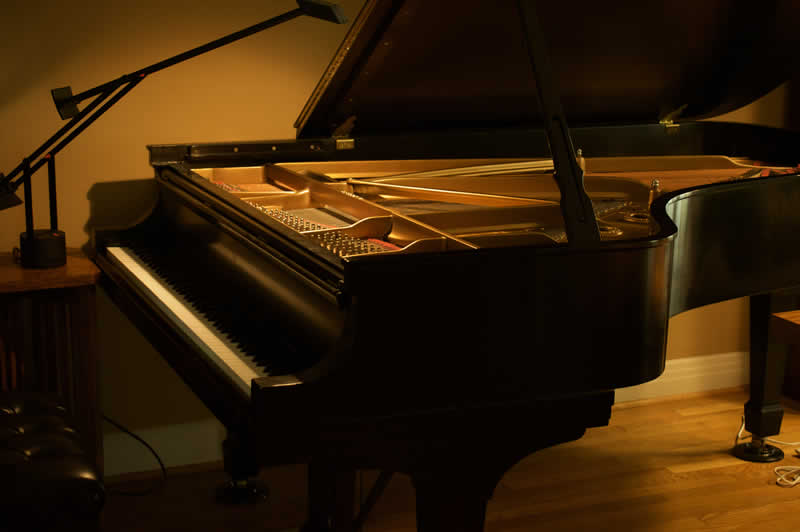 Moderar Previamente whisky Professional Grand Piano Restoration Services | Bradfield Piano